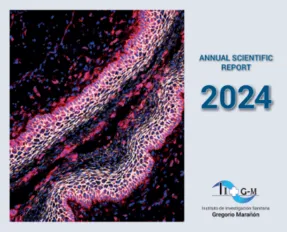 IiSGM Report 2024