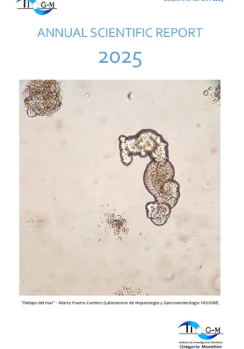 IiSGM Report 2025