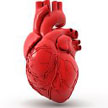 DIB Corazon
